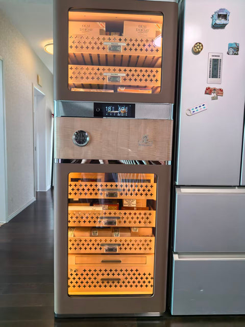 Raching RR980 Electric Cigar Humidor